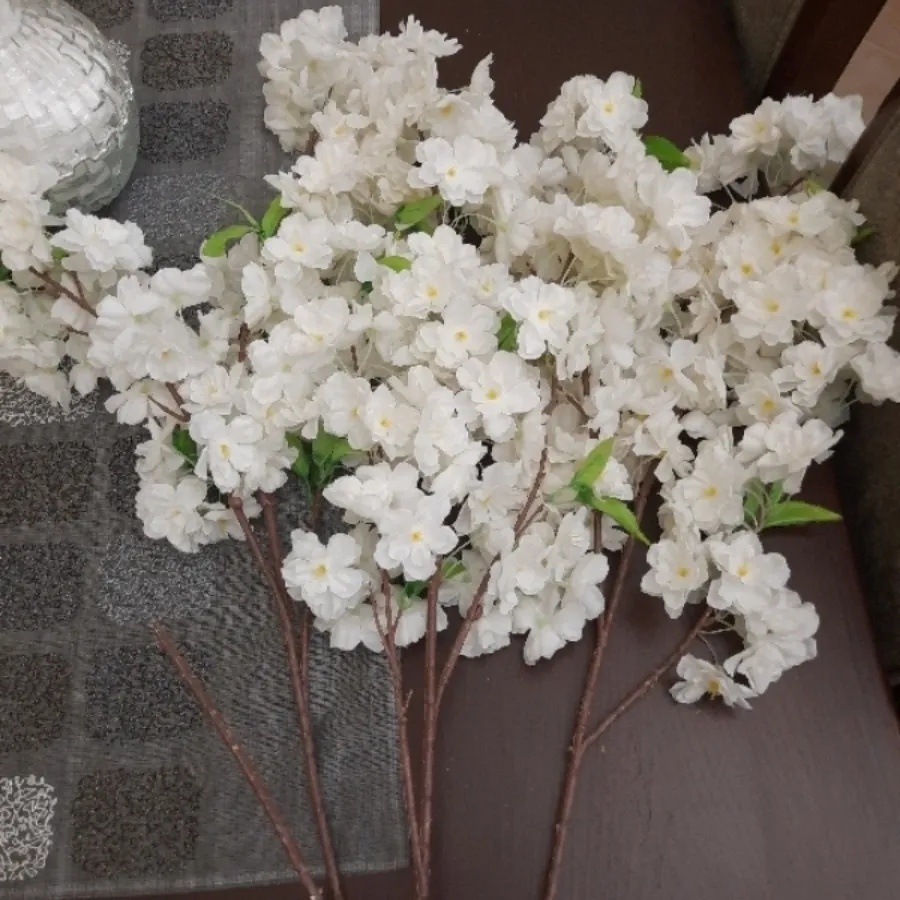 گل شکوفه بلند خارجی