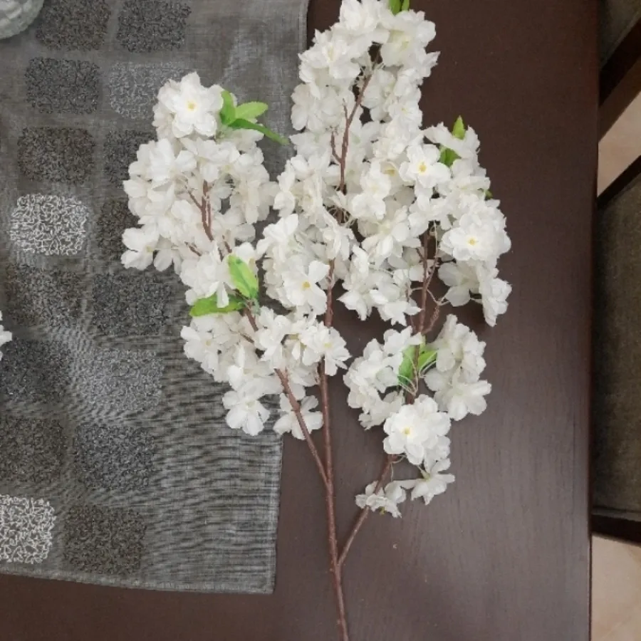 گل شکوفه بلند خارجی