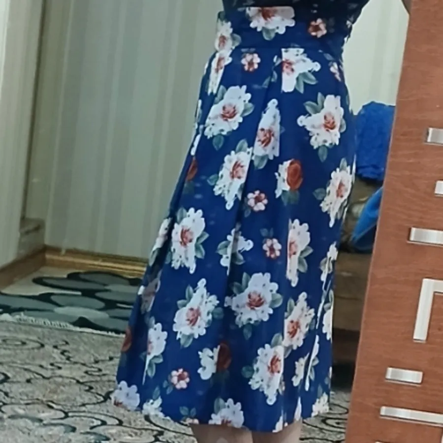 دامن مجلسی