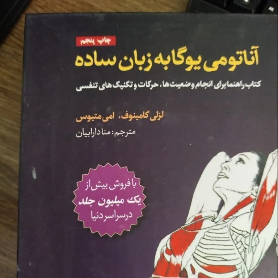 آناتومی یوگا به زبان ساده