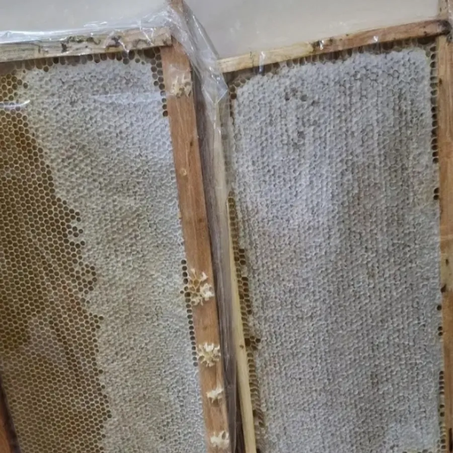 عسل سبلان اردبیل