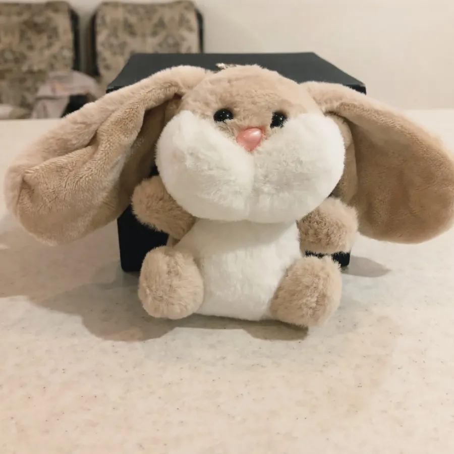 جاسیوچی خرگوش تپل