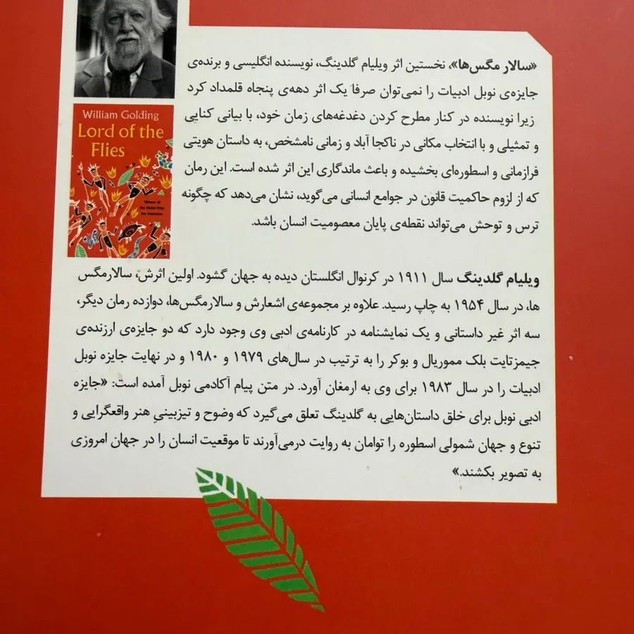 رمان سالار مگس ها