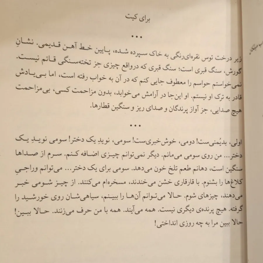 دختری در قطار