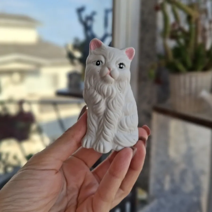 مجسمه بیسکوییتی گربه