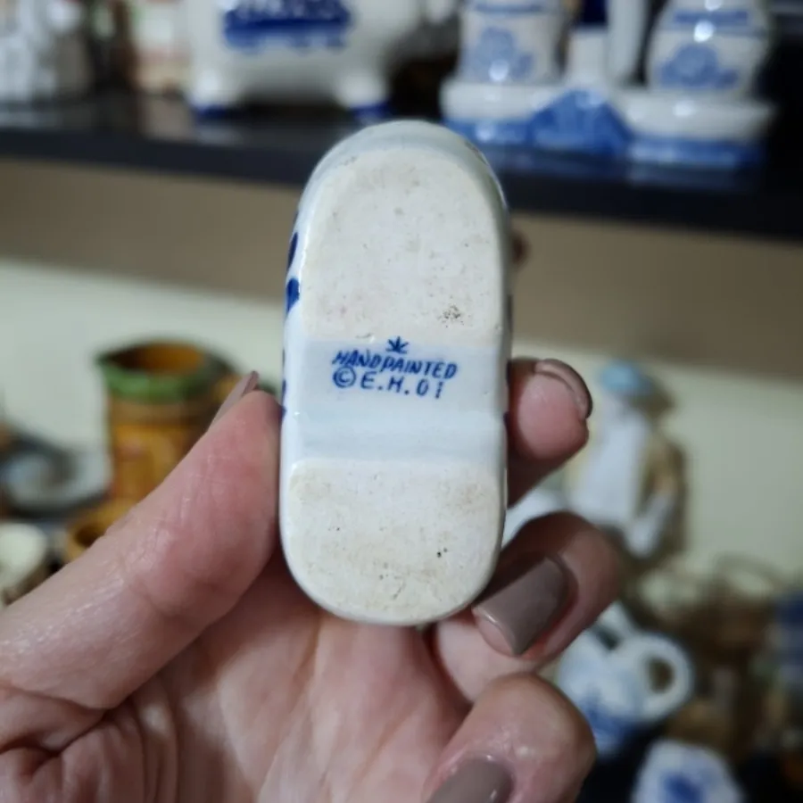 کفش دلف هلند