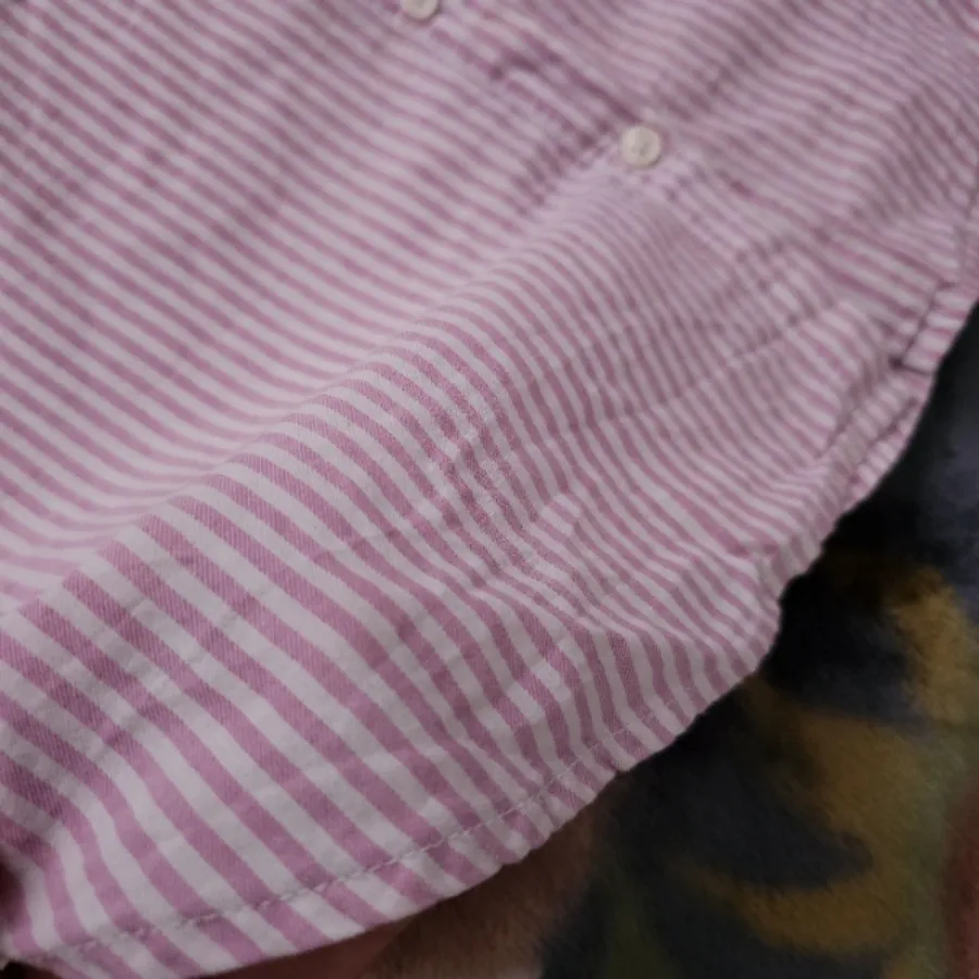 شومیز