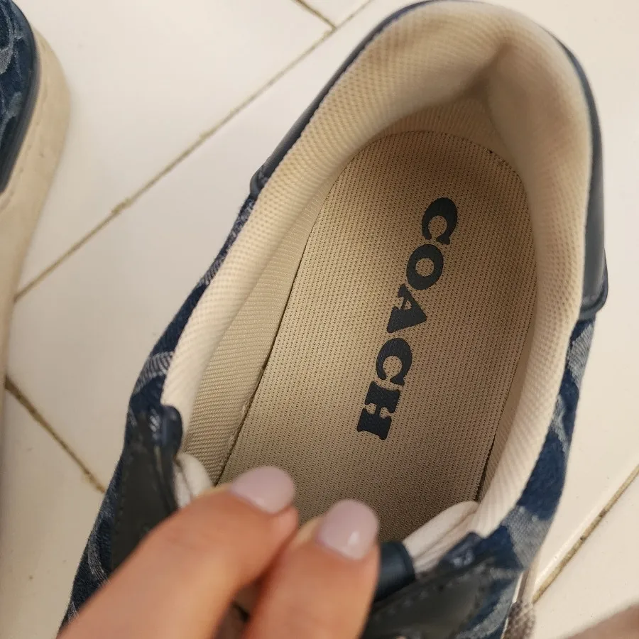 کتونی Coach سرمه ای