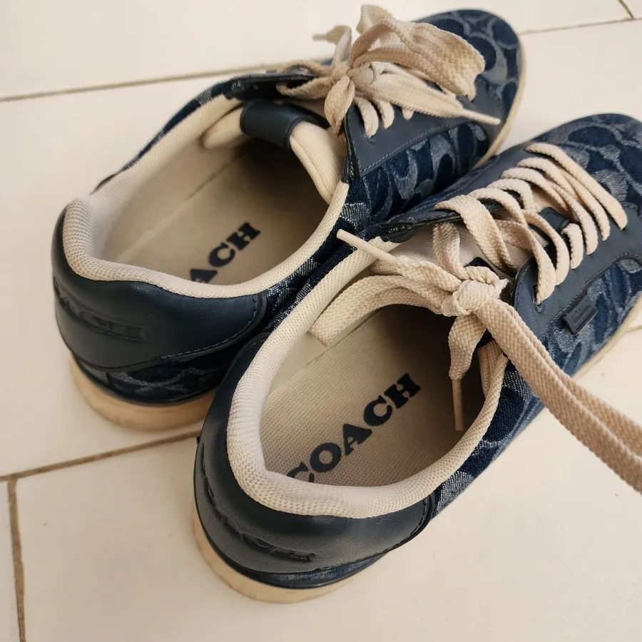کتونی Coach سرمه ای