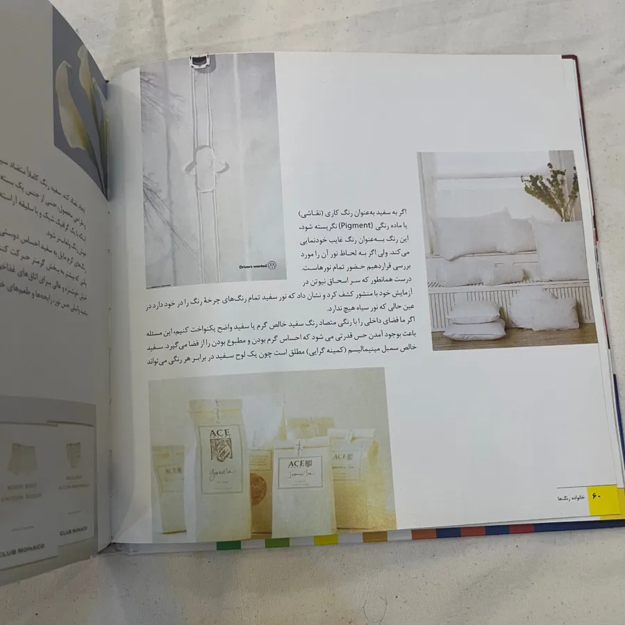 روانشناسی رنگ پنتون
