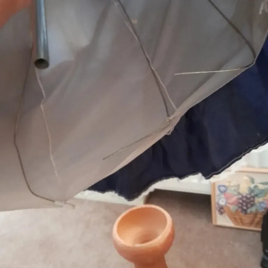 عروسک پرنسس