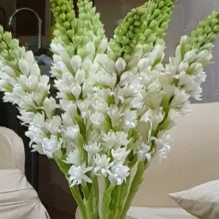 گل خمیری منعطف