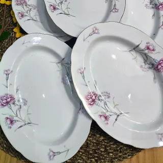 دیس پلو خوری