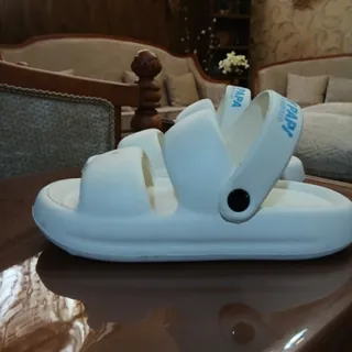 دمپایی یا ساحلی وصندل