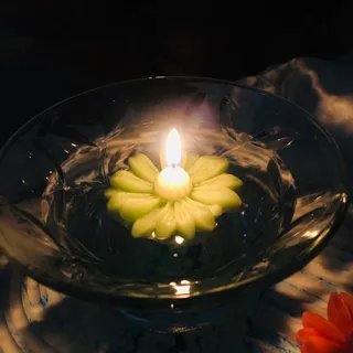 گل بابونه شناور