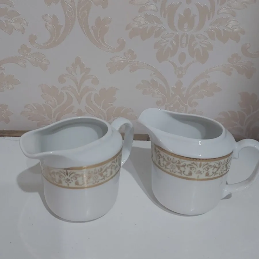 ظروف چینی