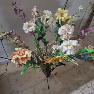 گلهای خارجی