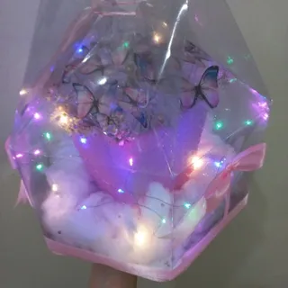 باکس پروانه چراغدار