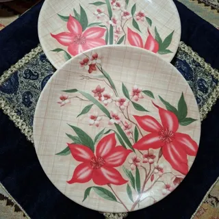 یک دست ملامین پلوخوری