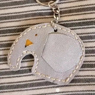 جاسوییچی