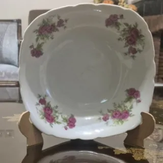 بشقاب تو گود گلسرخی