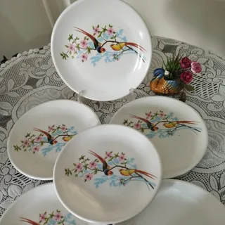 پلوخوری