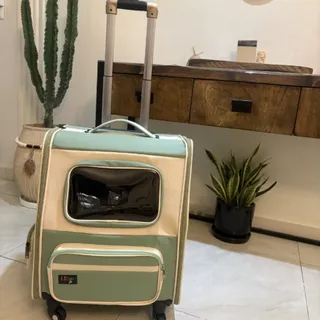 کیف حمل سگ و گربه