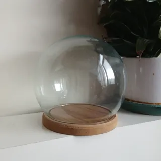 گوی شیشه ای
