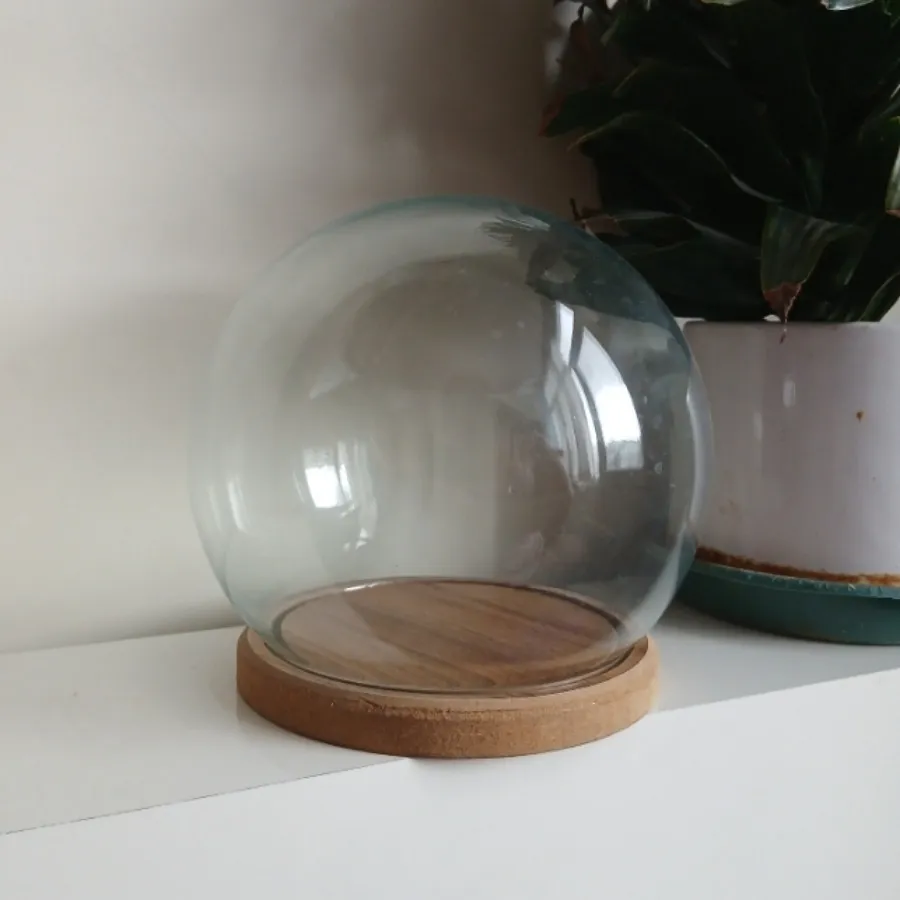 گوی شیشه ای