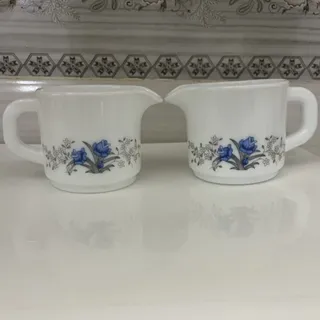سس خوری و جا شکری آرکوپال