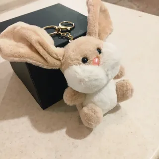 جاسیوچی خرگوش تپل