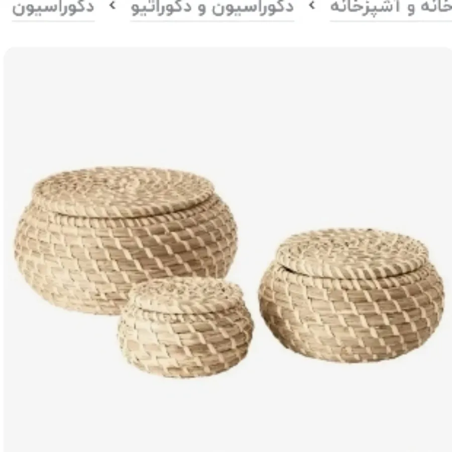 ارگنایزر ایکیا