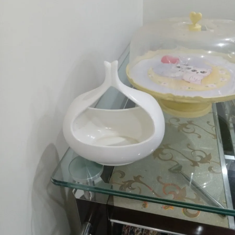 ظرف پذیرایی