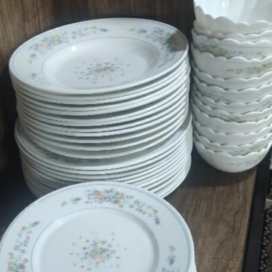 سرویس غذاخوری ومیوه خوری