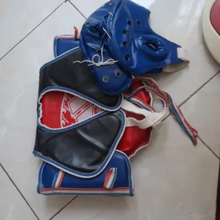 هوگو و کلاه تکواندو