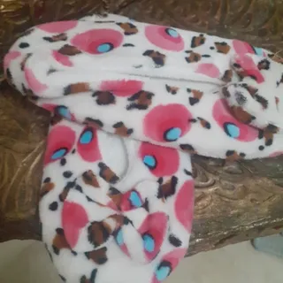 پاپوش