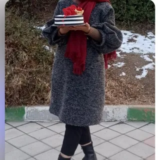 پالتو