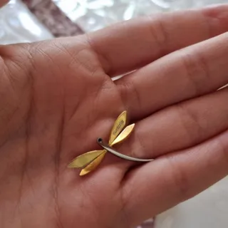 تو گردنی سنجاقک