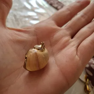 پلاک گردنی
