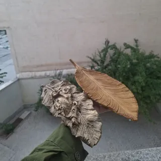 جا عودی
