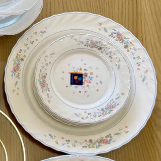 میوه خوری لومینارک فرانسه