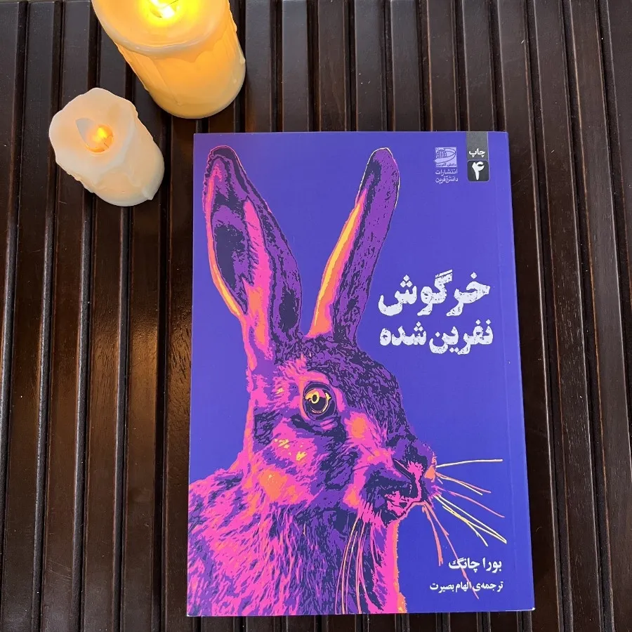 خرگوش نفرین شده