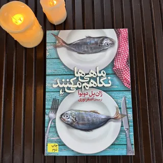 ماهی ها نگاهم میکنند