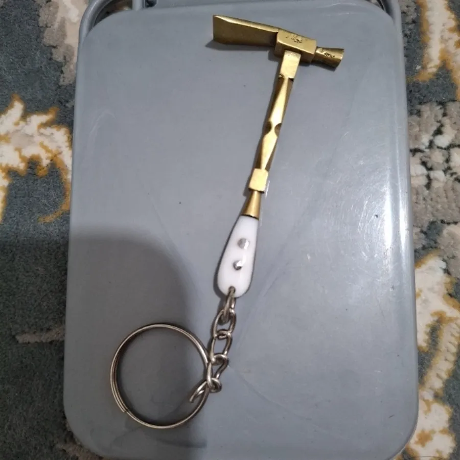 جاسویچی