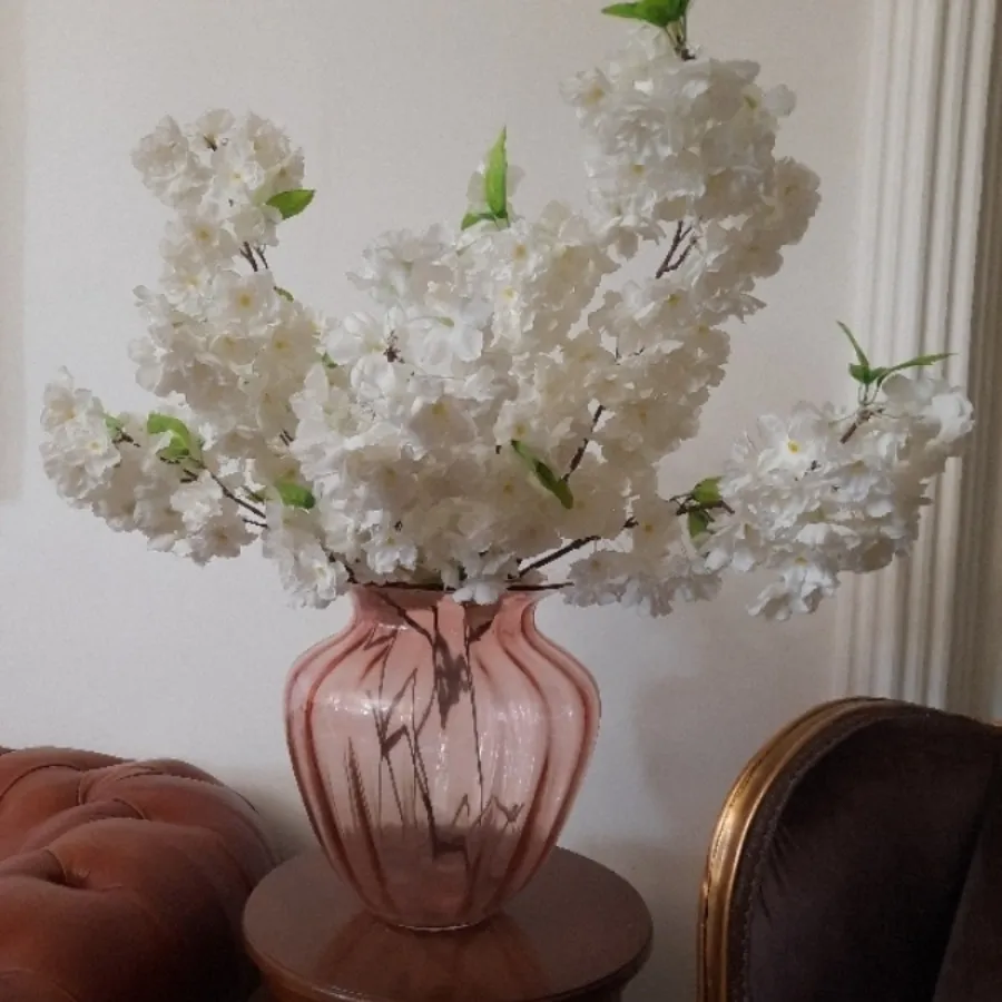 گل شکوفه بلند خارجی