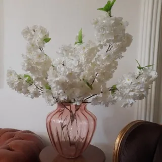 گل شکوفه بلند خارجی