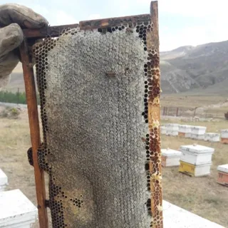 عسل سبلان اردبیل