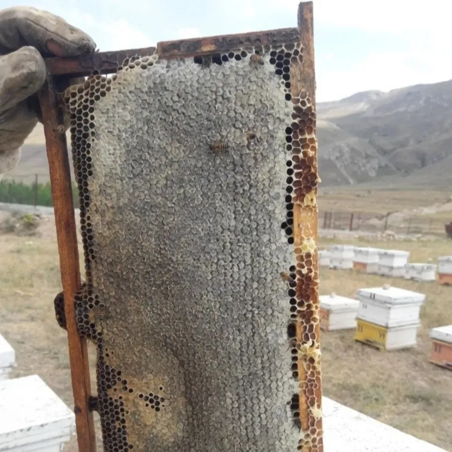 عسل سبلان اردبیل