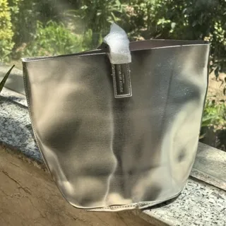 کیف نقره ای