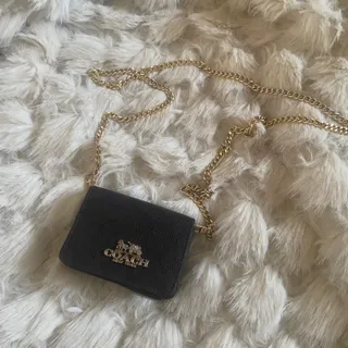 مینی بگ کوچ
